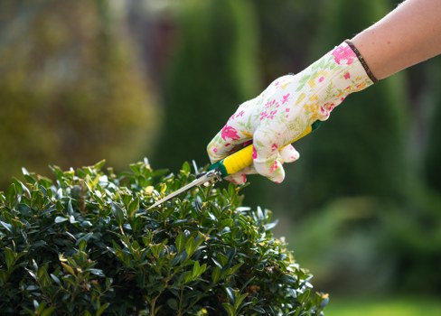 Gardener inspecting a garden in Sanderstead