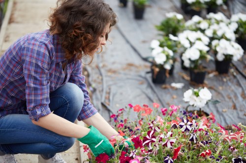 Gardener working in Sanderstead front garden