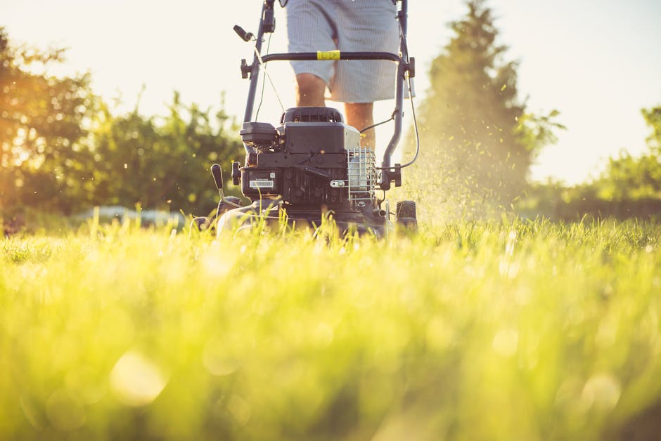 A person operating a mechanical lawn mower on a lush green lawn during a sunny day, with the camera positioned low to the ground capturing the freshly cut grass blades in the foreground. The mower's e