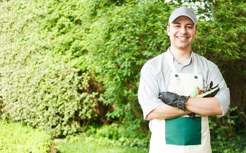 Eco-friendly gardening practices by Gardener Sanderstead